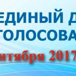 В г. Новочебоксарске, по данным на 12 часов, проголосовали 18,35% избирателей