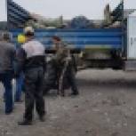 Камчатские активисты приняли участие во Всероссийской экологической акции «Зеленая Россия»