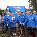 Клинские партийцы приняли участие в акции «Наш лес. Посади свое дерево»