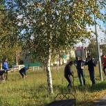 В Оршанке активисты убрали мусор и посадили деревья