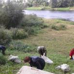 Берега водоемов Велижского района стали чище