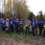 В Ярском районе прошел Всероссийский день посадки леса