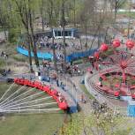 В рамках партпроекта в Новозыбкове продолжаются работы по благоустройству парка