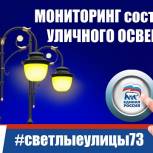 Партийный проект «Единой России» «Народный контроль» приглашает жителей Ульяновской области присоединиться к мониторингу состояния уличного освещения региона 