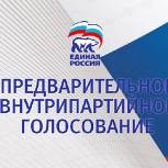 Утвержден список кандидатов предварительного голосования на главу Коткинского сельсовета