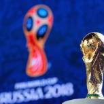 В  Воронеж прибудет Кубок Чемпионата мира по футболу