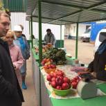 Сельскохозяйственные ярмарки Энгельса прошли проверку «народных контролеров»