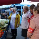 В Курске «Народный контроль»  проверил овощи на наличие нитратов