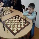 В Камешково прошёл турнир по шахматам