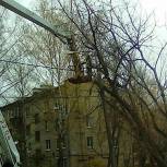 «Зеленый город»: Сторонники «Единой России» провели очередную акцию по очистке Красногорска от опасных деревьев  
