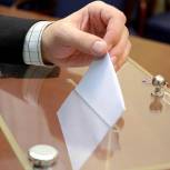 29,6% достигла явка на выборах в Гдовском районе к 15:00