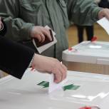 Явка на выборах главы Гдовского района к 12:00 составила 14%