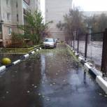 Отремонтированные дворы Саратова находятся на гарантийном обслуживании