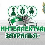 Марат Исламов: «Шахматы – мощный инструмент в развитии интеллектуального потенциала Зауралья»