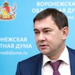Владимир Нетёсов озвучил перспективы законодательной деятельности в 2018 году