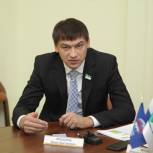 310 елок выделено в Кургане по инициативе партии «Единая Россия»