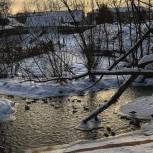 Партийцы поддержали акцию помощи зимующим на городских водоемах диким уткам