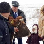 Николай Борцов вручил корову многодетной семье из Луганска