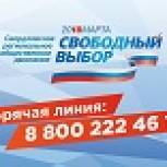 Возможность проголосовать должен иметь каждый: открылась горячая линия по доступности выборов Президента России