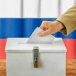 В день выборов Избиркомы обеспечат выездное голосование по заявкам граждан