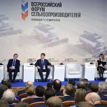 Россия будет решать вопросы обеспечения фермерских хозяйств землей и ресурсами – Путин