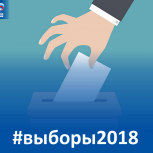 В Омской области уже проголосовали более 46% избирателей 