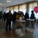 Явка на выборах в Пензенской области превысила 53%