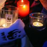 Тушите свет! Экологическую акцию «Час Земли» поддержали парки Западного округа Москвы