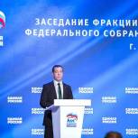 Партийная фракция в Госдуме встретилась с Медведевым