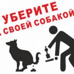 В Москве пройдет акция #УбериЗаСвоимПитомцем