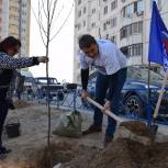 Депутат ЕР вместе с жителями поддержал акцию по высадке деревьев