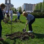 На мемориальном комплексе «Курская дуга» посадили яблони Победы