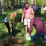 Молодогвардейцы Пушкино приняли участие в эколого-патриотической партии «Лес Победы»