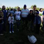 Представители Раменского отделения "Единой России" высадили деревья в Раменском