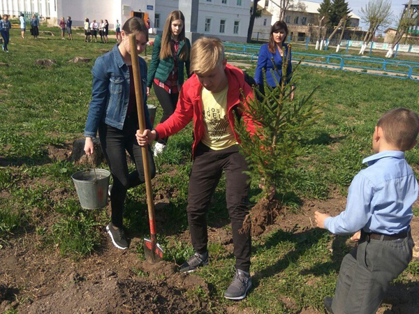 Игра посади дерево. В школьном саду посадили 900 цветов 630 из них были тюльпаны а остальные. В школьном саду посадили 50 тюльпанов. В школьном саду посадили 900 цветов 630. В школьном саду посадили 900 цветов.