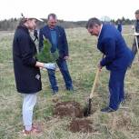 Всероссийская акция «Посади дерево» прошла в Юкаменском районе