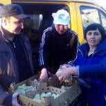 В Омской области проходит раздача цыплят
