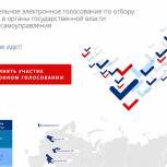 «Единая Россия» продлила срок подачи заявлений для участия в электронном голосовании