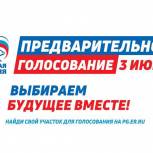 Единый день предварительного голосования стартовал в Белгородской области