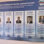 Подготовлены информационные материалы для предварительного голосования  