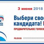 В Чеченской Республике началось предварительное голосование «Единой России»