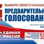 В Ульяновской области стартовал Единый день предварительного голосования