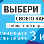 Явка на 12.00 часов превысила уровень предварительного голосования 2016 года