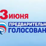 В Республике Коми стартовало предварительное голосование
