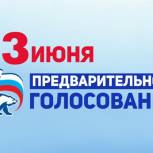 Озвучена итоговая явка на предварительном голосовании «Единой России» в Псковском районе