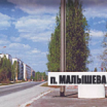 Результаты предварительного голосования в Малышевском и Белоярском городских округах