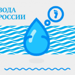 Грибановские волонтеры очистят берега рек и прудов