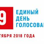 В Ульяновской области стартовал Единый день голосования