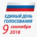 В Курской области стартовала работа избирательных участков
