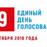 В Коми завершился единый день голосования
